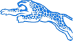 Aab Jaguars