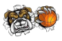 Apg Bulldogs U21