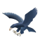 Ateneo de Manila University Blue Eagles