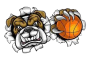 Cachorros Bulldogs