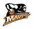 Cherkaski Mavpy