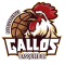 Gallos de Aguascalientes