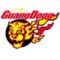 Guandong Southern Tigers