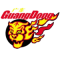 Guangdong Southern Tigers U21