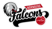 Nuremberg Falcons BC