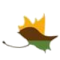 San Carlos