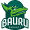 Sendi/Bauru