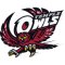 Temple Owls