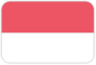 Indonesia T20
