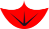 Cyber Goose