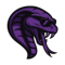Team Cobra