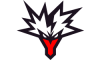 Team Yandex