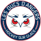 Angers Ducs