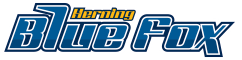 Herning Blue Fox