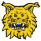 Ilves U20