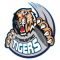 Straubing Tigers