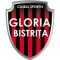 1. FC Gloria Bistrita
