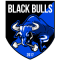 Black Bulls Maputo