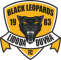 Black Leopards