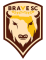 Brave Summerfield