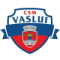 CSM FC Vaslui