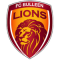 FC Bulleen Lions