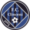 ACS FC Academica Clinceni
