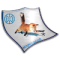 FK Euromilk Gorno Lisice