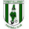 Forest Killarney