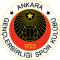 Gençlerbirligi SK U19