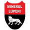 Minerul Lupeni