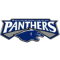 South Adelaide Panthers Reserves