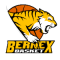 Bernex Basket