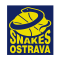 BK Snakes Ostrau