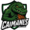 Caimanes del Villavicencio
