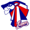 Central Districts Lions
