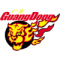 Guandong Southern Tigers