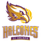 Halcones