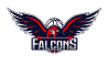 Newcastle Falcons