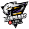 Taoyuan Taiwan Beer Leopards