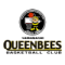 Yamanashi Queen Bees W