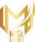 Misa Esports