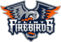 Flint Firebirds