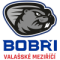 HC Bobri Valasske Mezirici