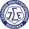 Leksands IF