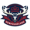 Newfoundland Regiment