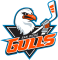 San Diego Gulls