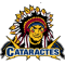 Shawinigan Cataractes