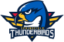 Springfield Thunderbirds