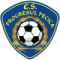 ACS Progresul Pecica